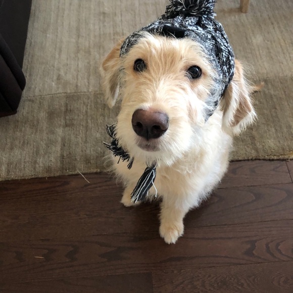 Meet your Posher, Ally - Picture 1 of 1